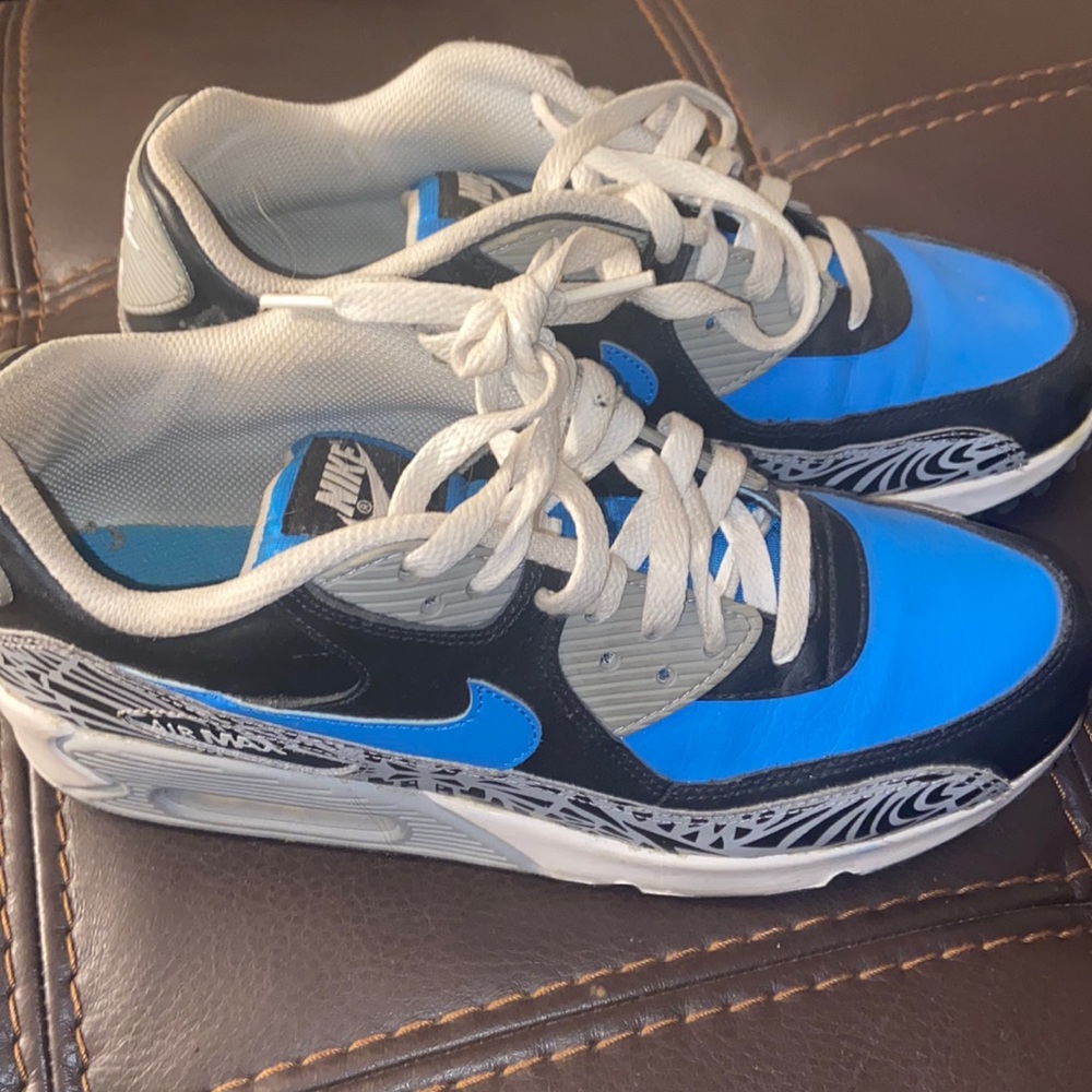 Nike Air Max